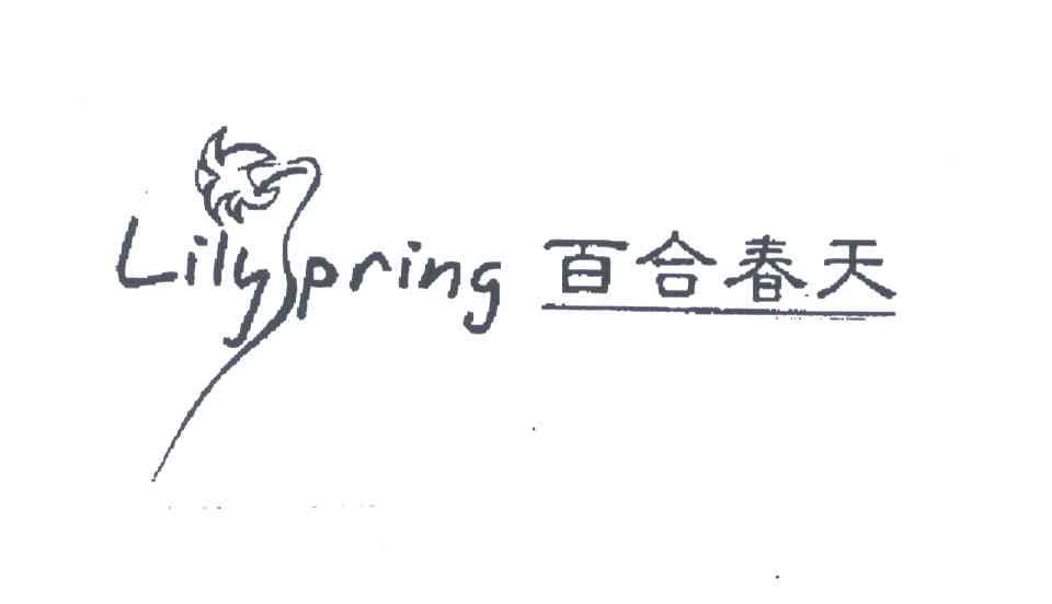 百合春天;LILY SPRING