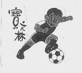 宝之林