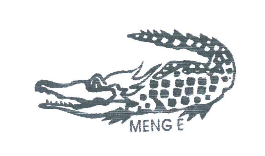 MENG E
