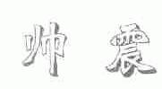 帅震