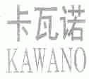 卡瓦诺;KAWANO