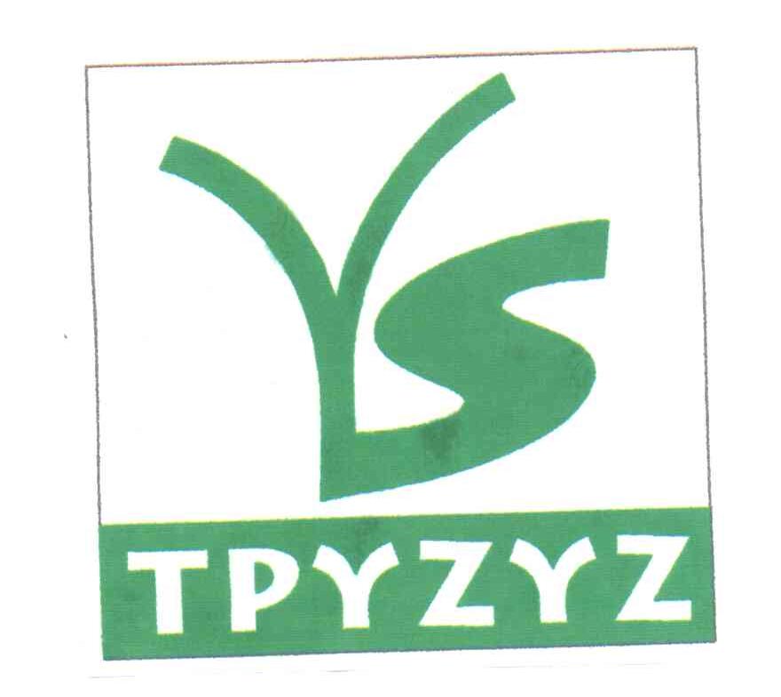 YS;TPYZYZ
