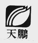 天鹏