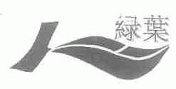 绿叶