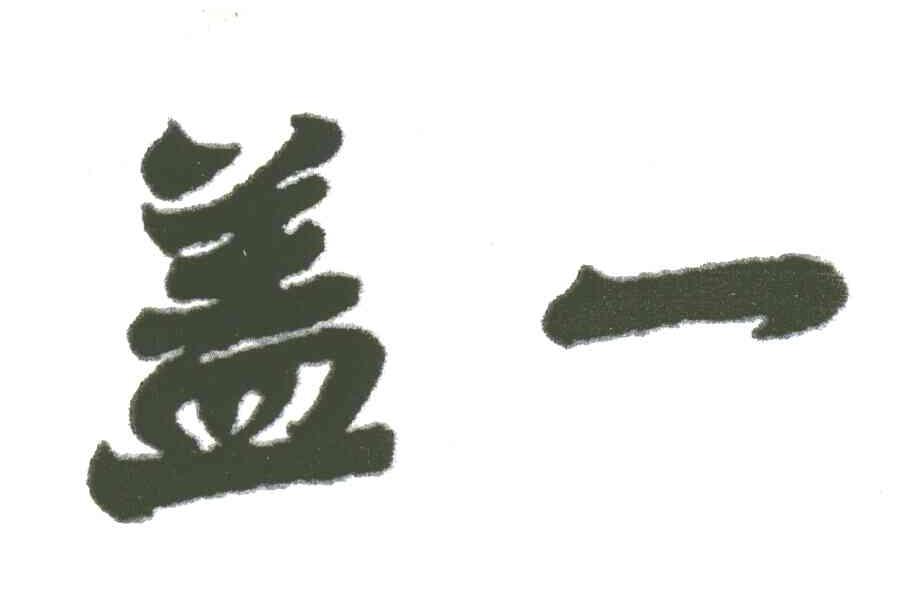 盖一