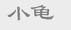 小龟