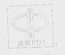 派特   PDT
