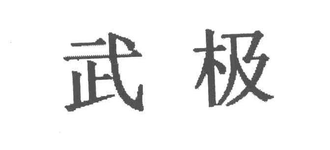 武极