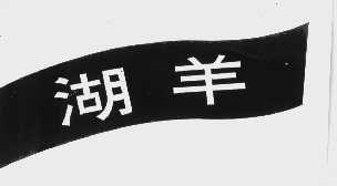 湖羊