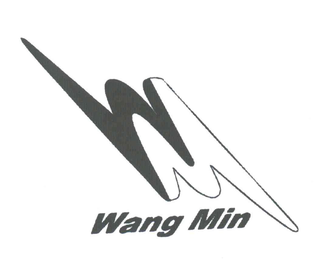 WANG MIN