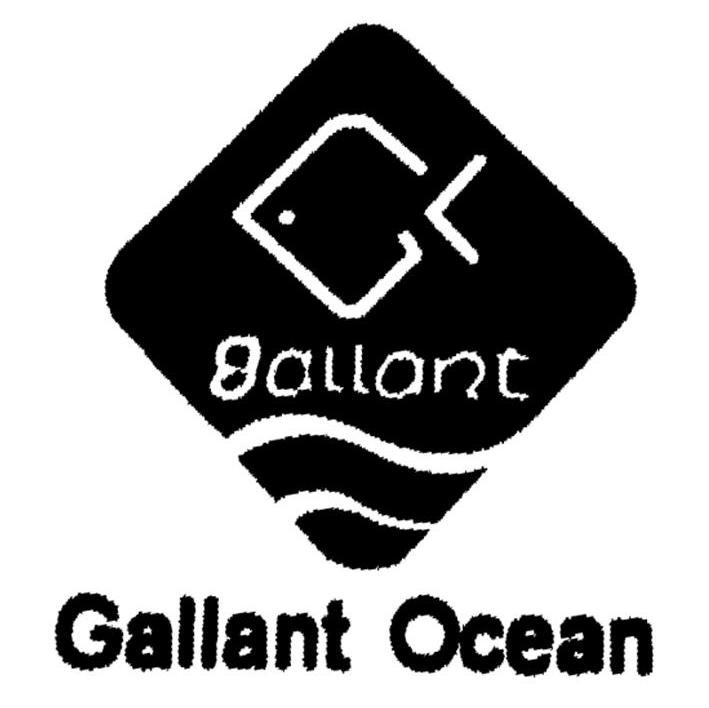 GALLANT GALLANT OCEAN