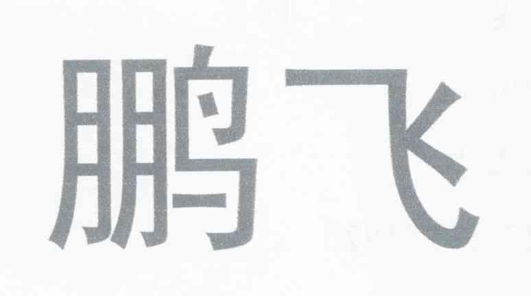 鹏飞