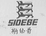斯德哥