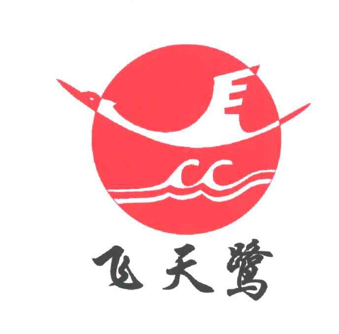 飞天鹭