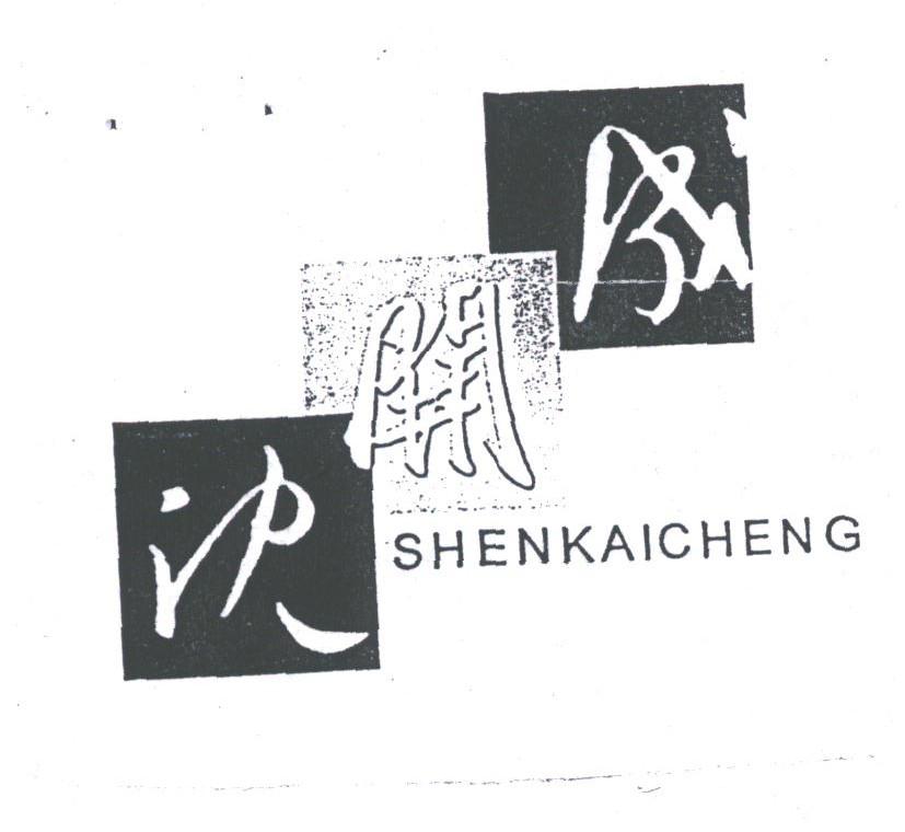 沈开成