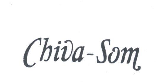 CHIVA-SOM