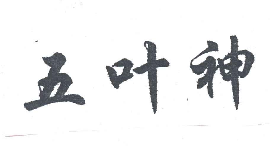 五叶神
