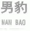 男豹