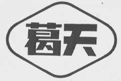 葛天
