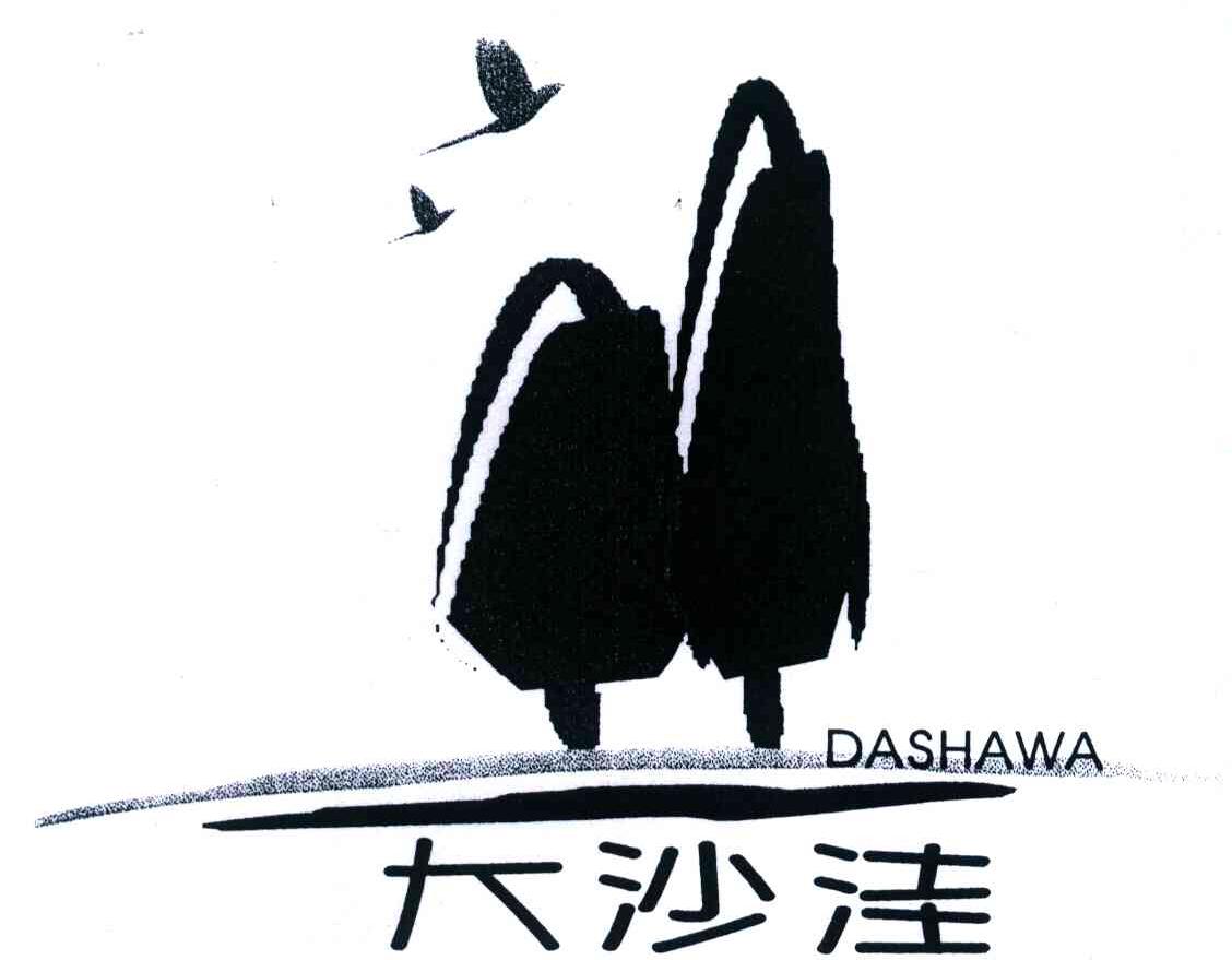 大沙洼