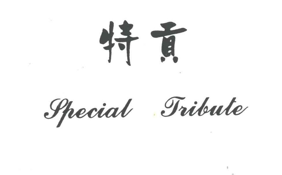 特贡;SPECIAL TRIBUTE