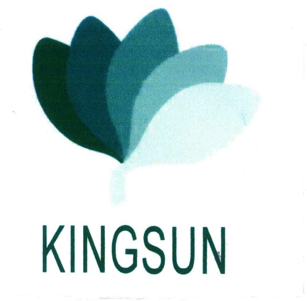 KINGSUN