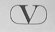 V LOGO