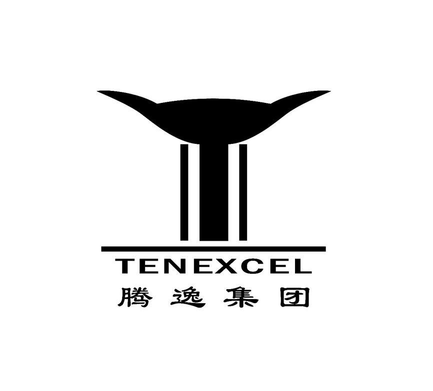 腾逸集团 TENEXCEL