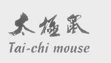 太极鼠   TAI-CHI