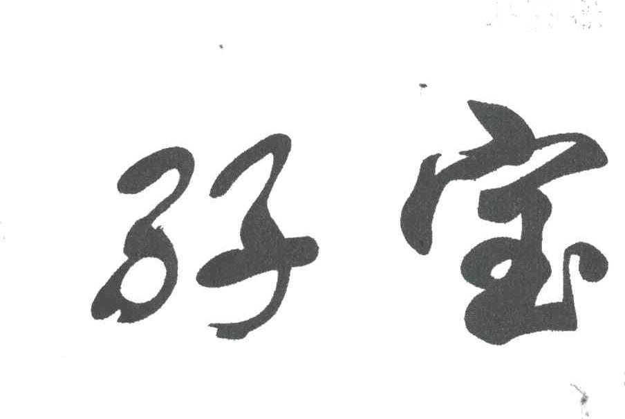 孖宝