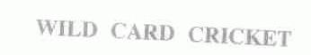 WILD CARD CRICKET