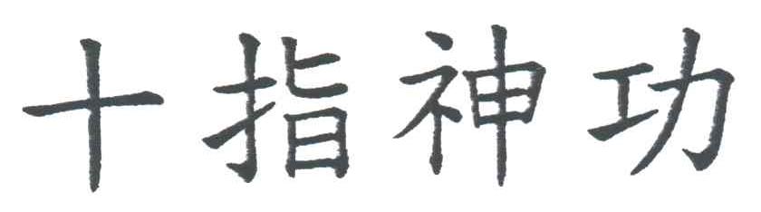 十指神功