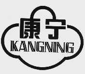 康宁