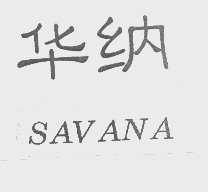 华纳   SAVANA