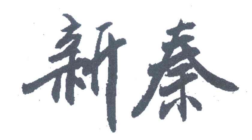 新秦