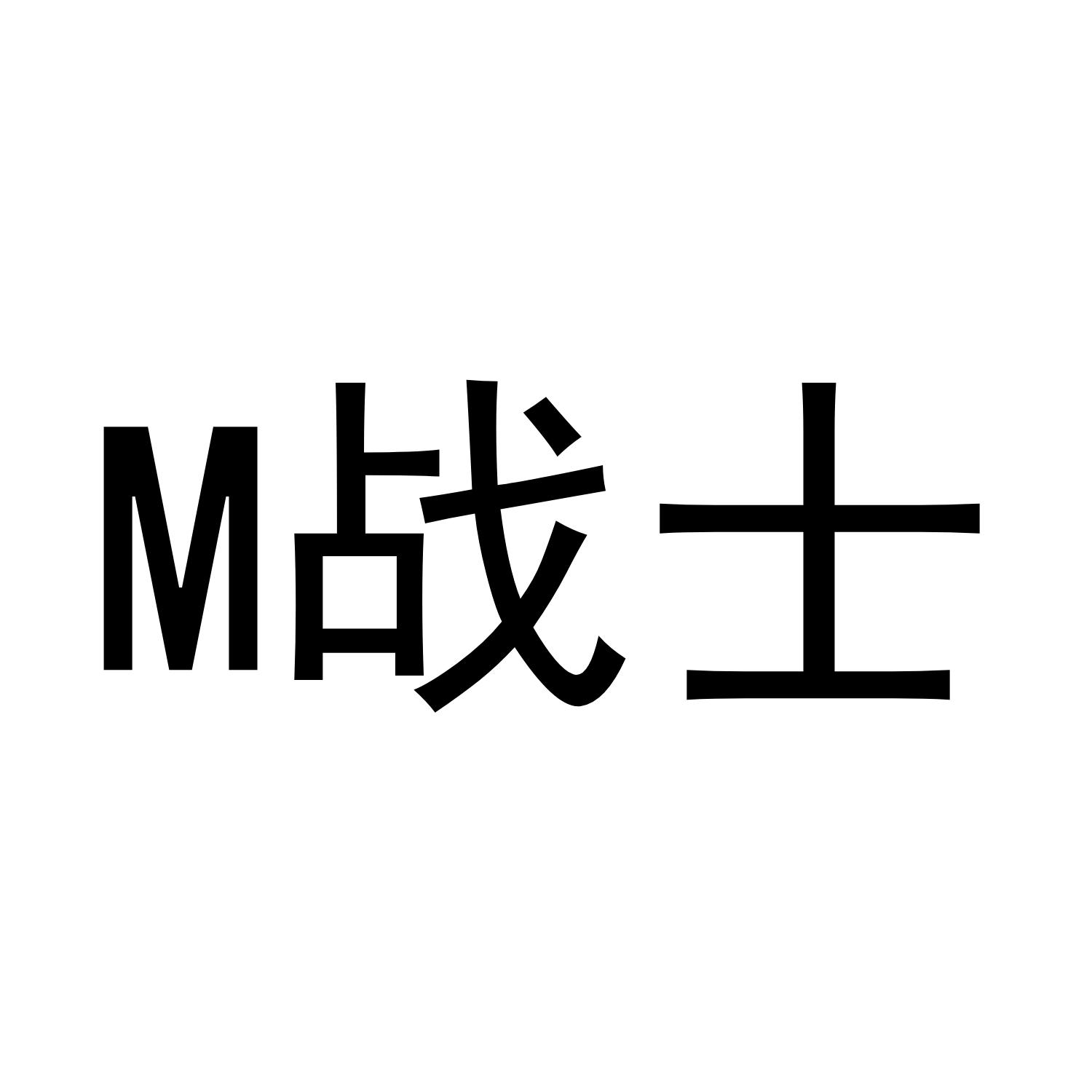 M 战士