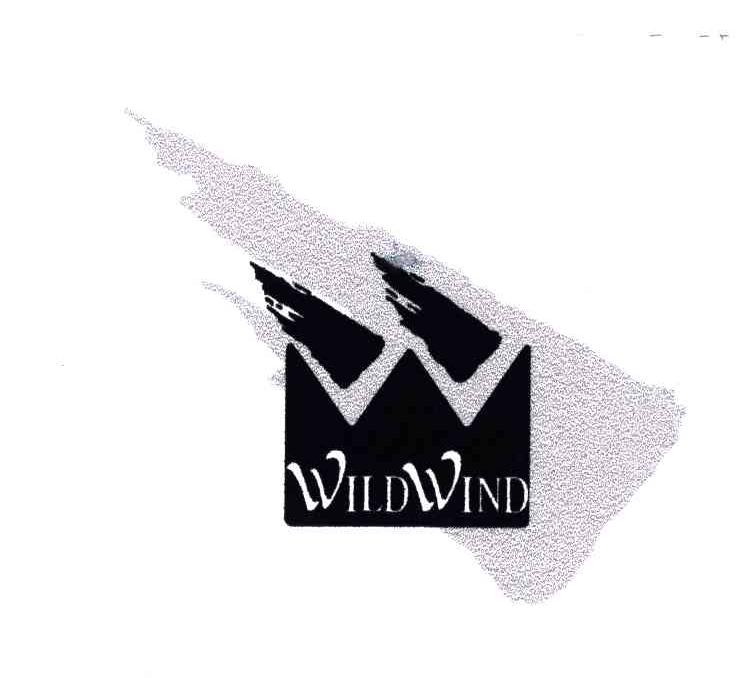 WILDWIND及图形