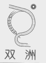 双洲