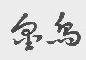 金鸟