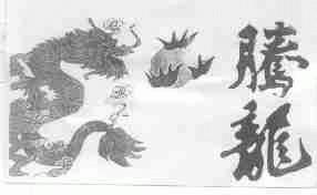 腾龙