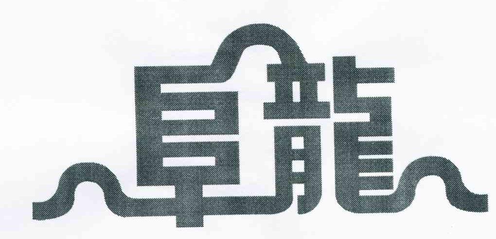 阜龙