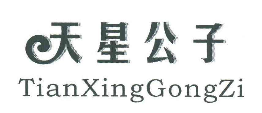 天星公子