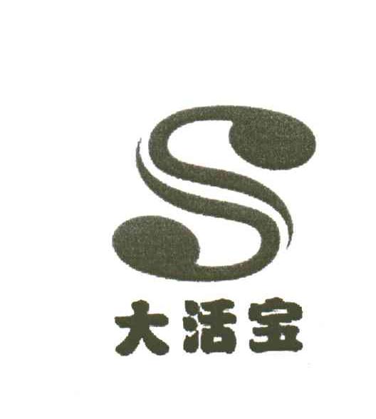 S;大活宝