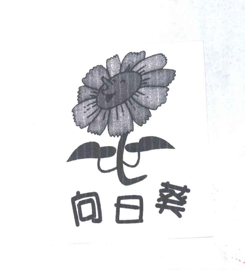 向日葵