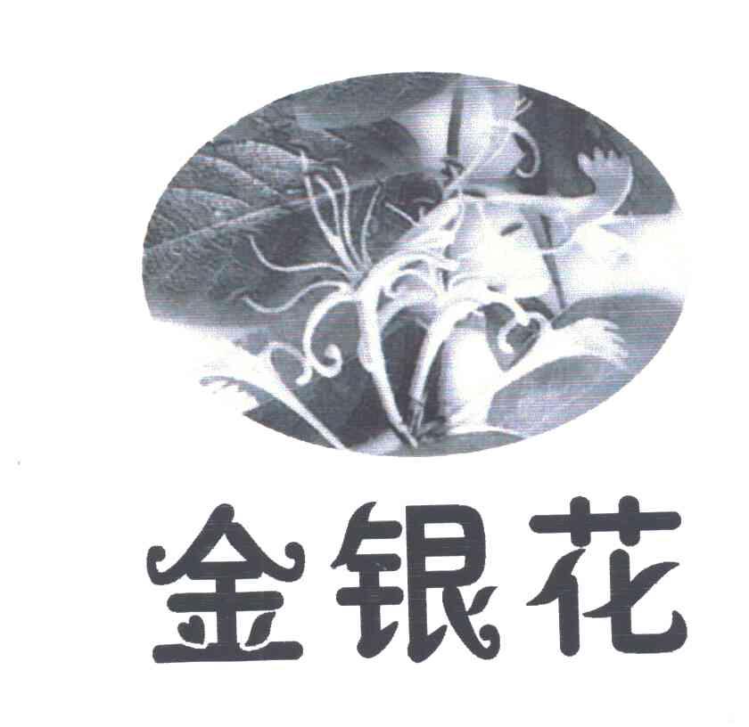 金银花