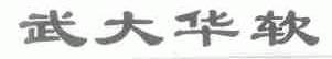 武大华软