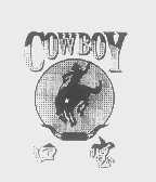 口宝   COWBOY