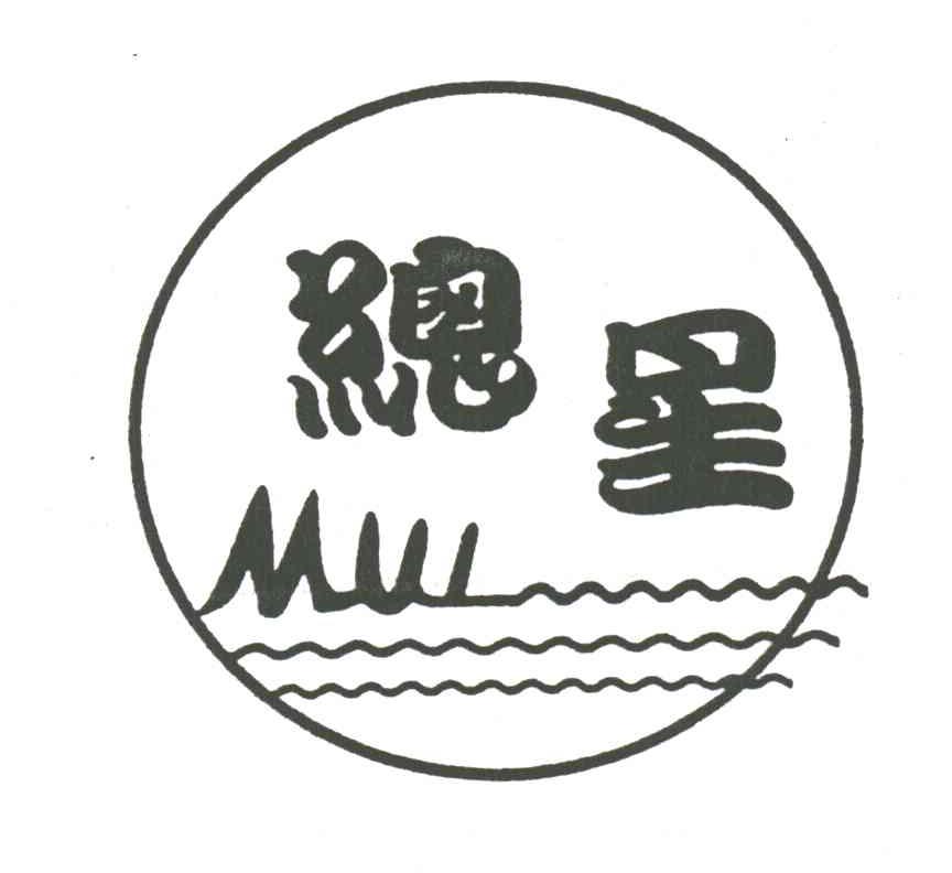 总星