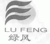 绿风