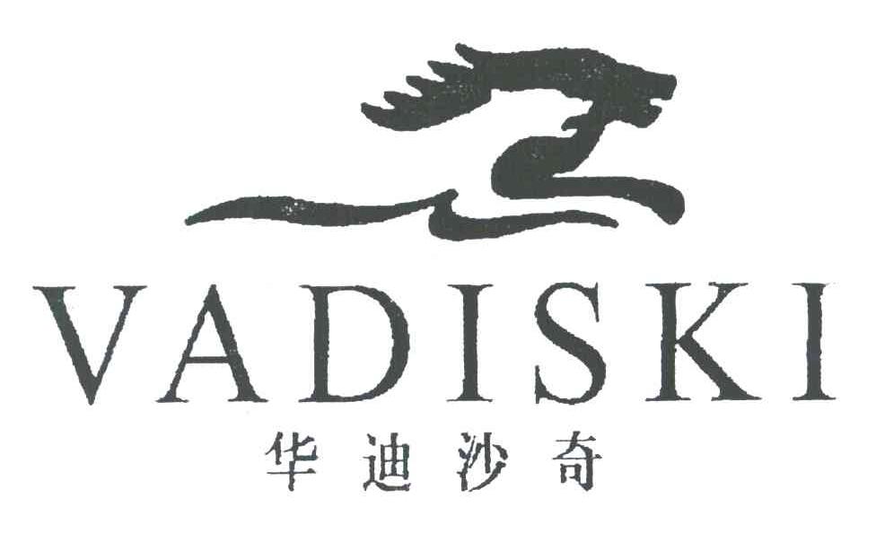 华迪沙奇;VADISKI